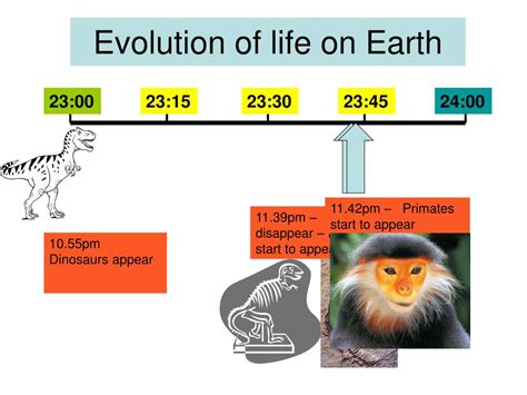Evolution of Life Chart 的图像结果