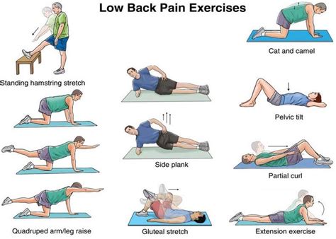 Image result for Physical Therapy Back Exercises