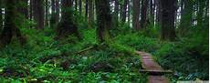 Forest Dual Monitor Wallpaper by Forest Dual Screen Wallpapers Top Free Forest Dual Forest Dual Monitor Wallpaper