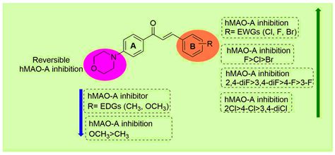 Microwave-Assisted Synthesis of Morpholine-Based Chalcones as ...
