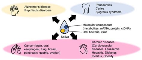 Salivary Metabolomics for Oral Cancer Detection: A Narrative Review