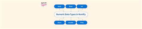 Image result for Python Int vs Numpy Int