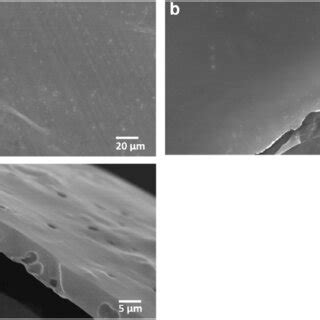Imaging Signal Resolution for Sem 的图像结果