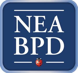 BPD Explained 的图像结果