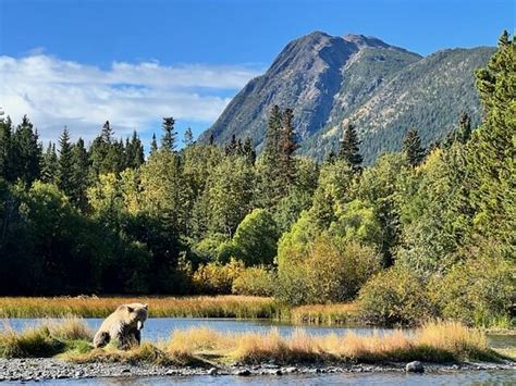 THE CHILKO EXPERIENCE WILDERNESS RESORT (Tŝilhqox Biny (Chilko Lake ...