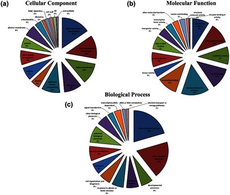 Image result for Example of Biological Process