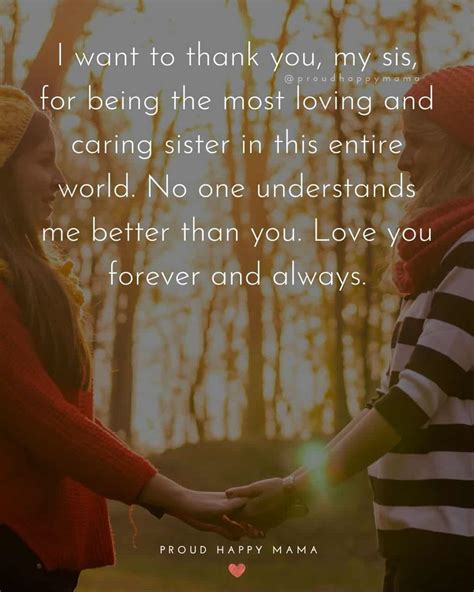 70+ Heartfelt I Love My Sister Quotes [With Images]