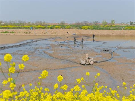 与南京农业大学洽谈校内池塘清淤及改善水质事宜-南京水之源疏浚工程有限公司