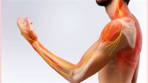 नसों में दर्द किसकी कमी से होता है | Nerve pain vitamin b12 deficiency ...