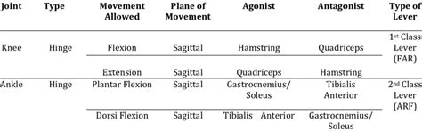 Image result for Mincing Step Pattern