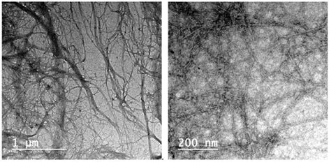 Membranes Based on Cellulose Nanofibers and Activated Carbon for ...