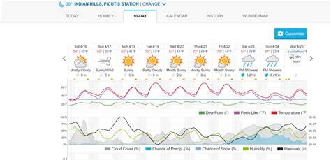 Beautiful Colorado Spring Sunshine - Indian Hills Colorado