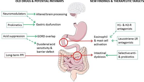 Image result for Colon Polyps Types