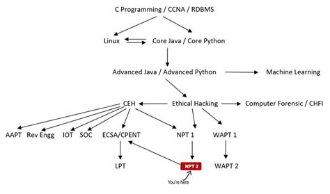 Network Penetration Testing (Level II) | ISOEH