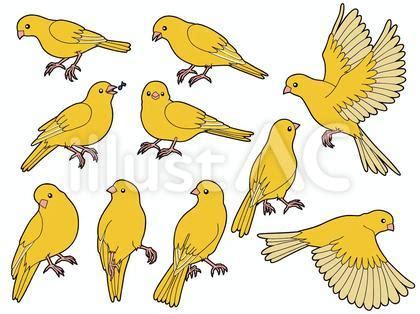 Image result for Selection Programming Python Example