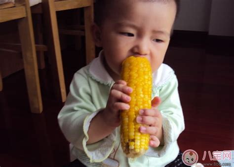 吃玉米竟然有这么多的好处 快给宝宝准备上玉米大餐 _八宝网