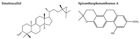Pharmacological and Chemical Potential of Spiranthes sinensis ...