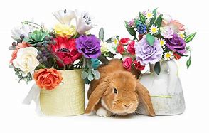 Image result for Easter Spring Flowers and Bunnies