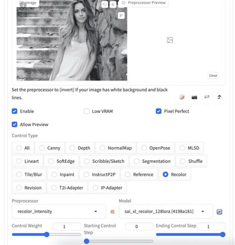 Image result for Sdxl Control Network Tutorial