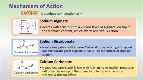 GAVONIX (Calcium Carbonate, Sodium Bicarbonate, Sodium Alginate) | PDF
