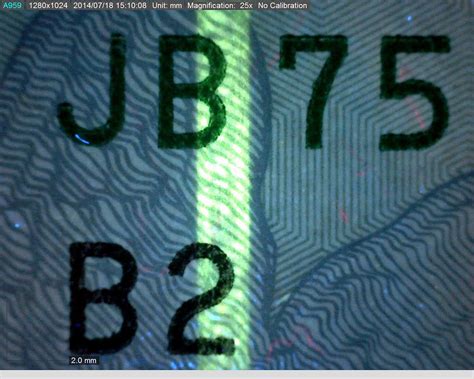 Image result for Magnification Examples