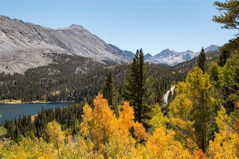 Fall In Love With June Lake Fall Colors - What, Where, When, & Why