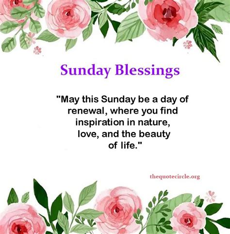 Happy Blessed Sunday Quotes 790 Sunday Blessings Ideas | Happy Sunday