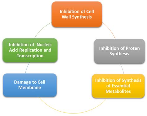 Nano Drug Delivery Platforms for Dental Application: Infection Control ...