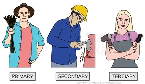 Sector 的图像结果