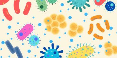 India Has a Superbug Problem