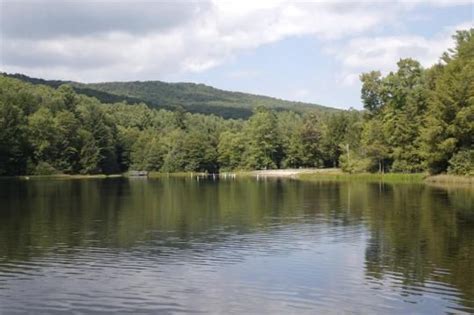 BearTree Campground Damascus Virginia: Camping Adventures in the Mountains