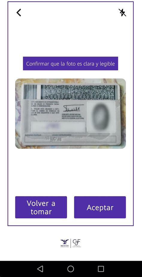 Tutorial Firel 的图像结果