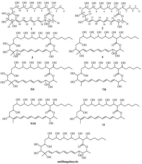 New Polyene Macrolide Compounds from Mangrove-Derived Strain ...