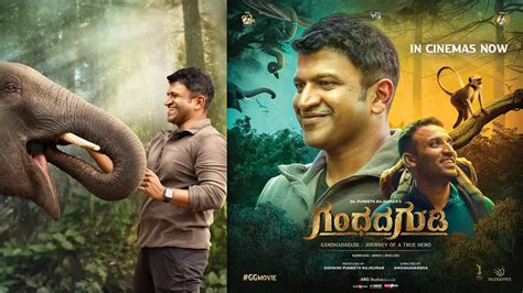 ‘Gandhada Gudi’ Twitter review OUT! Netizens hail late actor Puneeth ...