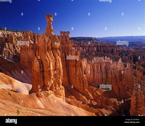 Morning light on Thor s Hammer at Sunset Point in Bryce Canyon National ...
