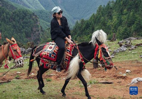 关山草原做“骑马生意”的农村少年！_频道_腾讯网