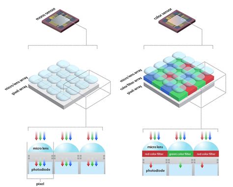 Digital Image Sensor Connection 的图像结果