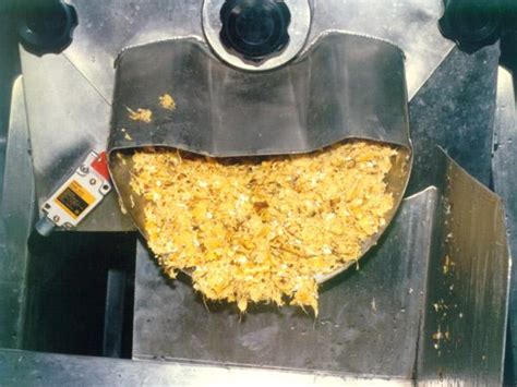 Mango Pulp Process 的图像结果