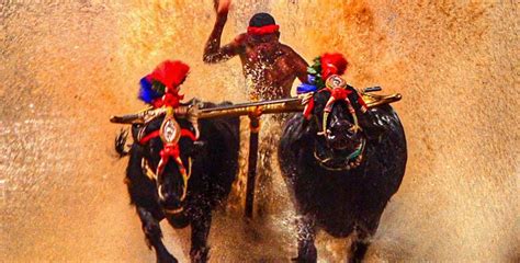 There's Someone Faster Than The Man 'Faster Than Bolt' & Looks Like ...