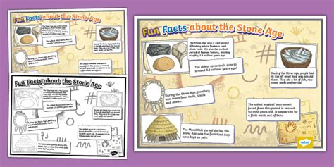 Fun Facts about the Stone Age Display Poster