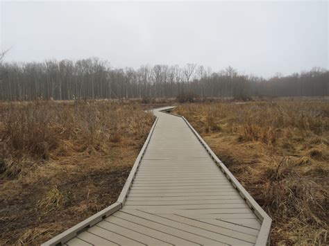 Huntley Meadows Park, Alexandria, Virginia | Prince William Living