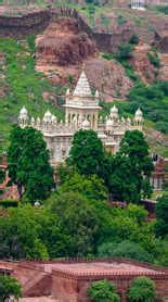 The largest living tree on the Earth is 2000 year old and is ...