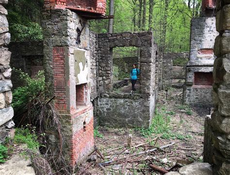 Cold Spring Hike: The Cornish Estate Trail — Explorenza™ — Explorenza®