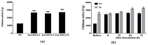 Overexpression of a New Chitinase Gene EuCHIT2 Enhances Resistance to ...