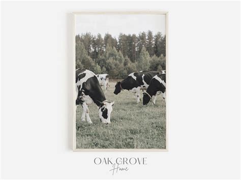 Buy Grazing Cows Wall Art, Cows in Field Photo, Farmhouse Decor, Wall ...