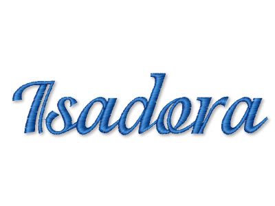 Image result for Isadora Software Sample