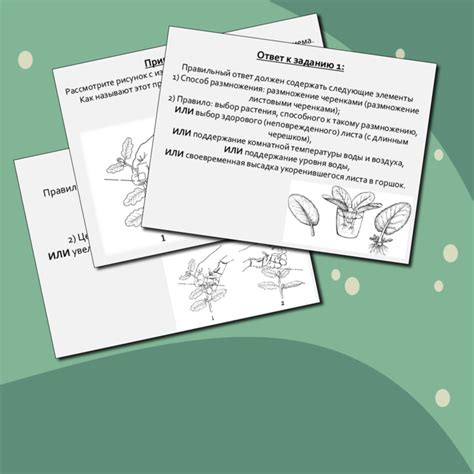 Подготовка к ОГЭ по биологии, задание 22 (ботаника)