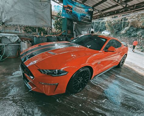 Image result for Alien Curse