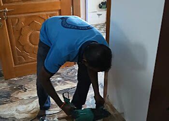 3 Best Pest Control Services in Tirunelveli, TN - Expert Recommendations