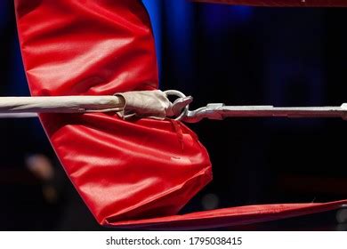 Boxing Ring Top View 的图像结果